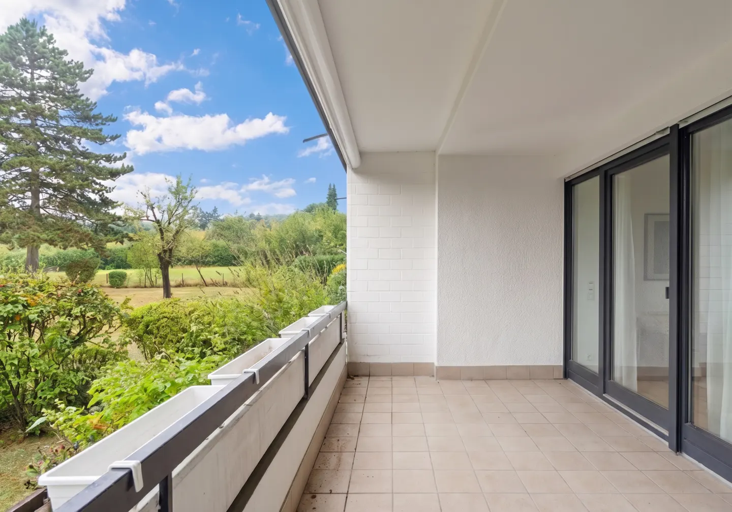 [AI-generated photo]