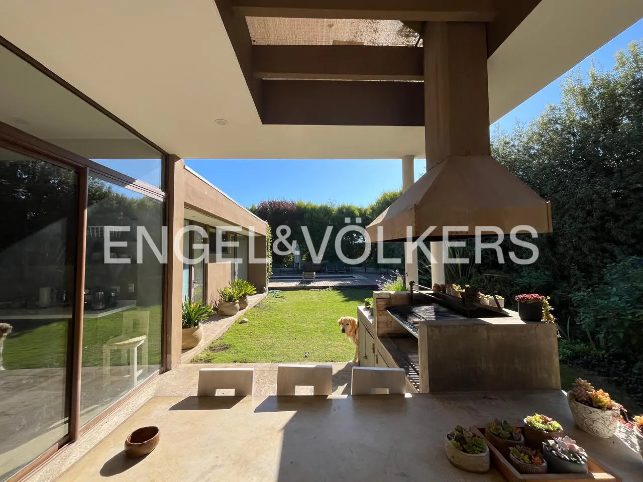 Outdoor patio with a grill, succulents, and a view of a green lawn and pool. A golden retriever peeks out from behind the grill.