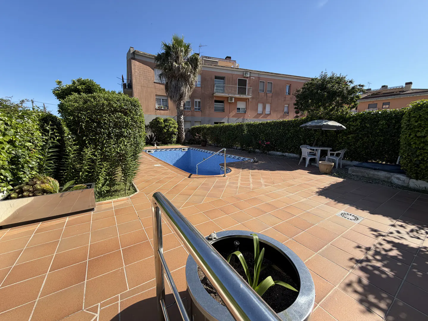 Outdoor pool area with a blue pool, brown tiled patio, green hedges, and a palm tree against a clear blue sky.