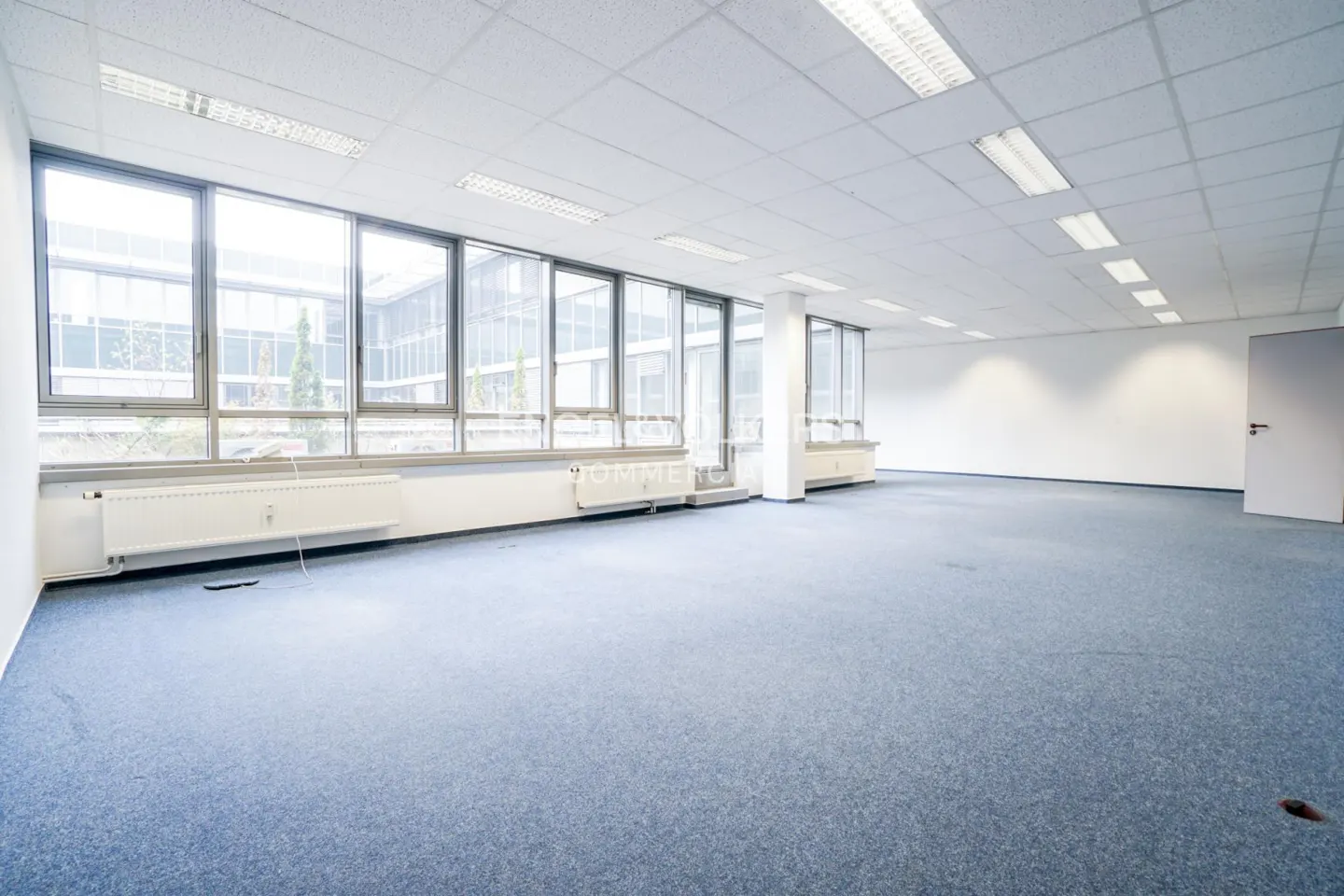 Bright, empty office space with blue carpet, white walls, and large windows. Radiators line the window wall. Fluorescent lights illuminate the room.