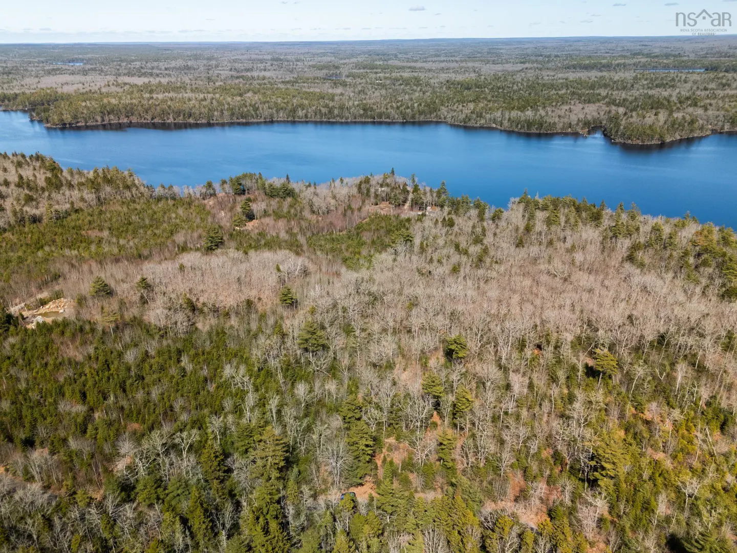 Aerial view of a blue lake surrounded by dense forest with green and bare trees under a bright sky.