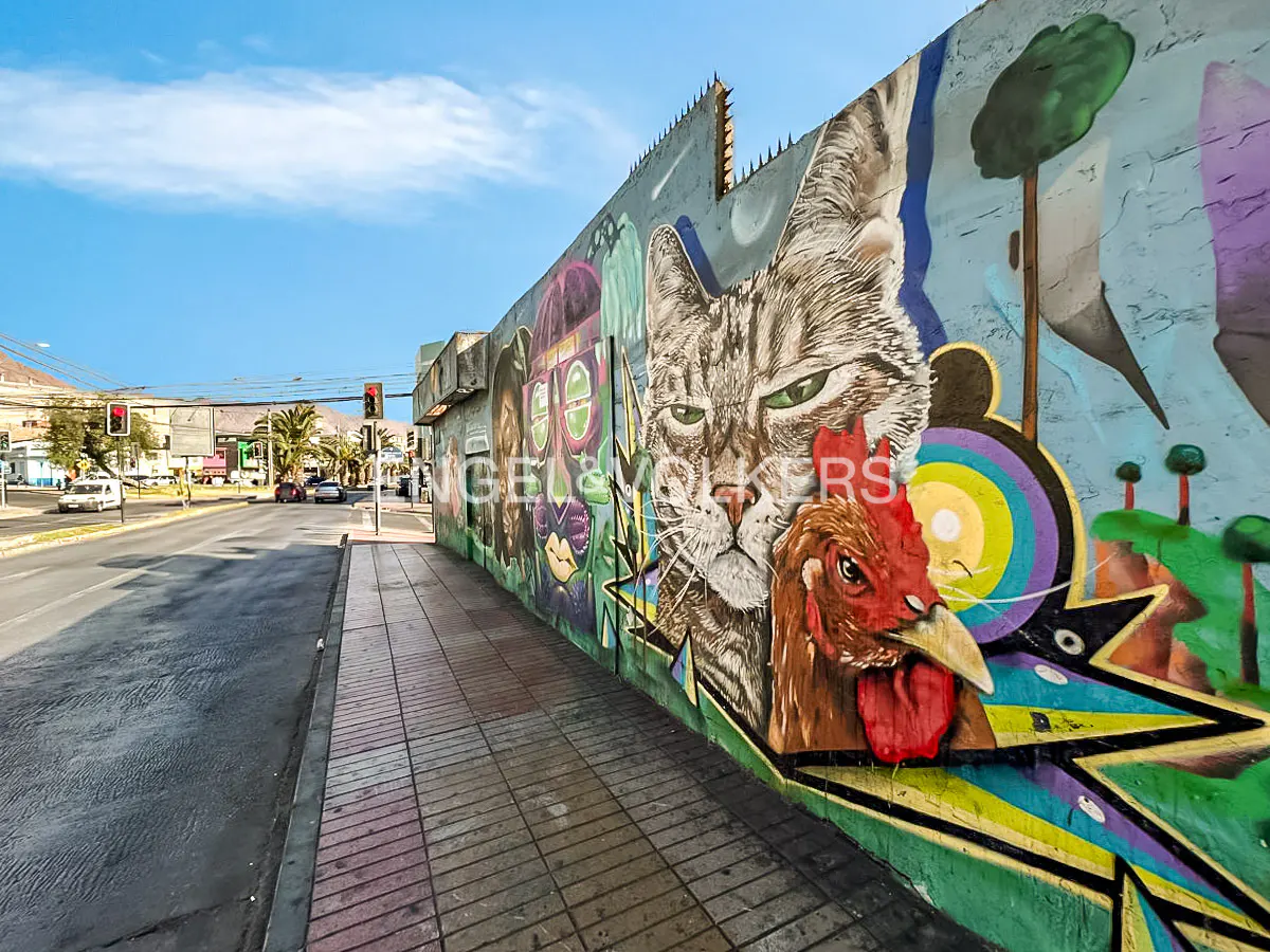 Outdoor view of a colorful mural on a wall, featuring a cat, a rooster, and abstract designs.