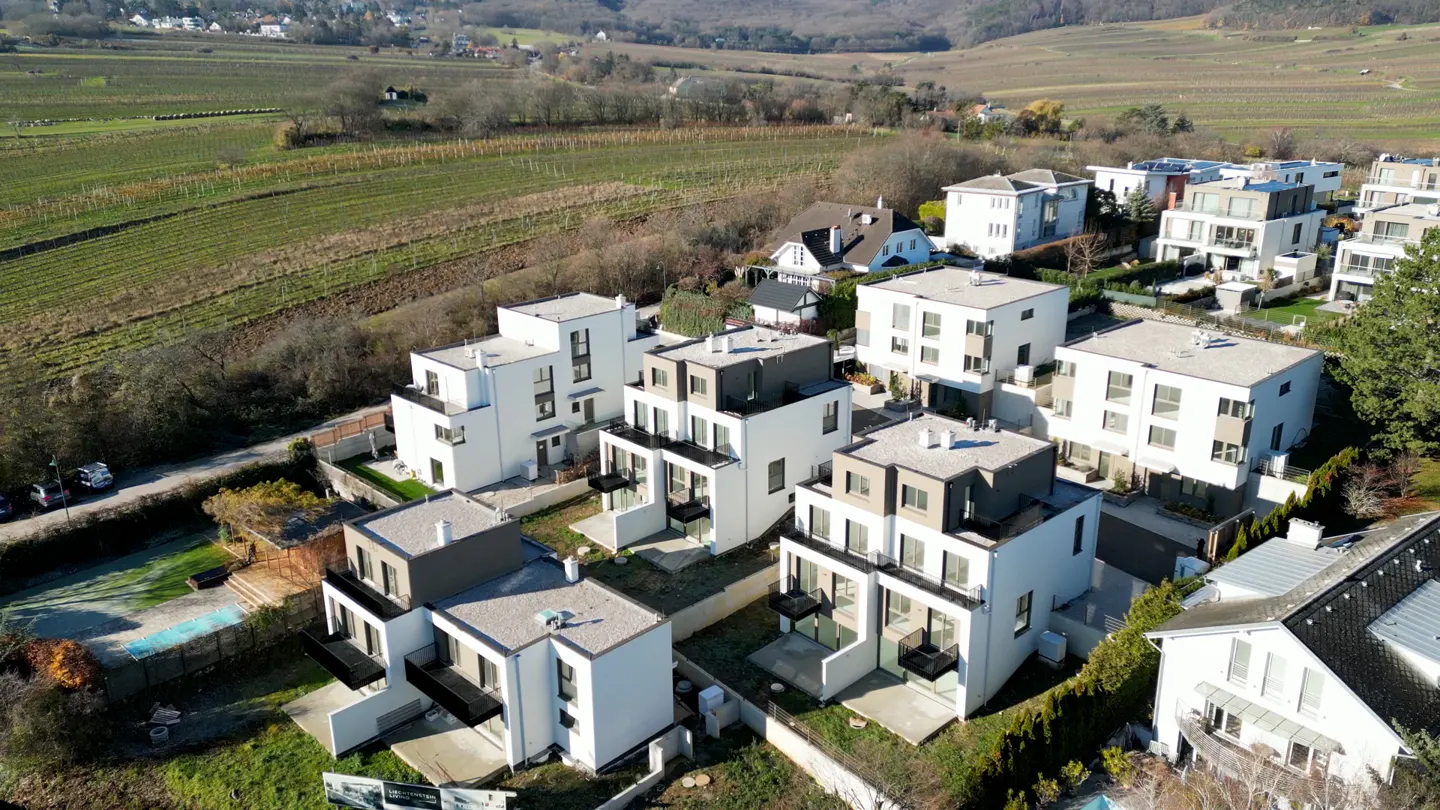 Aerial view of modern white townhouses with gray accents, nestled in a hillside vineyard setting.