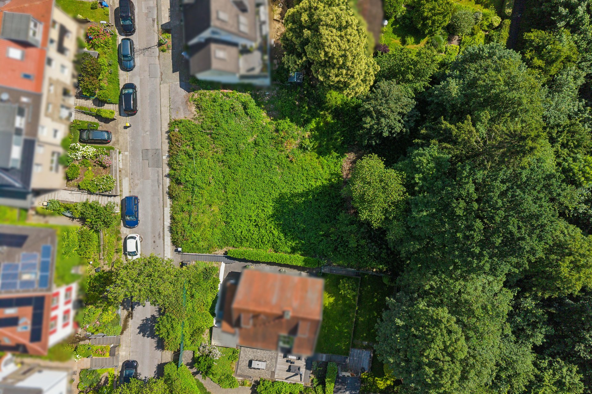 A place where housing dreams take shape – Exclusive southeast-facing hillside plot by Schellenberg Forest