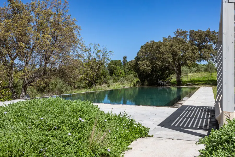A long, dark-water pool is surrounded by green foliage and trees under a clear blue sky. A stone patio surrounds the pool.