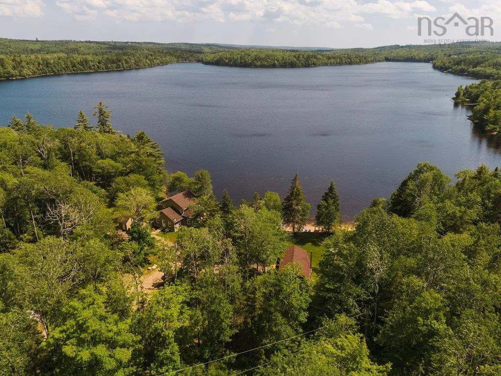 Aerial view of a lake surrounded by green trees, with two houses nestled among the trees near the shore.