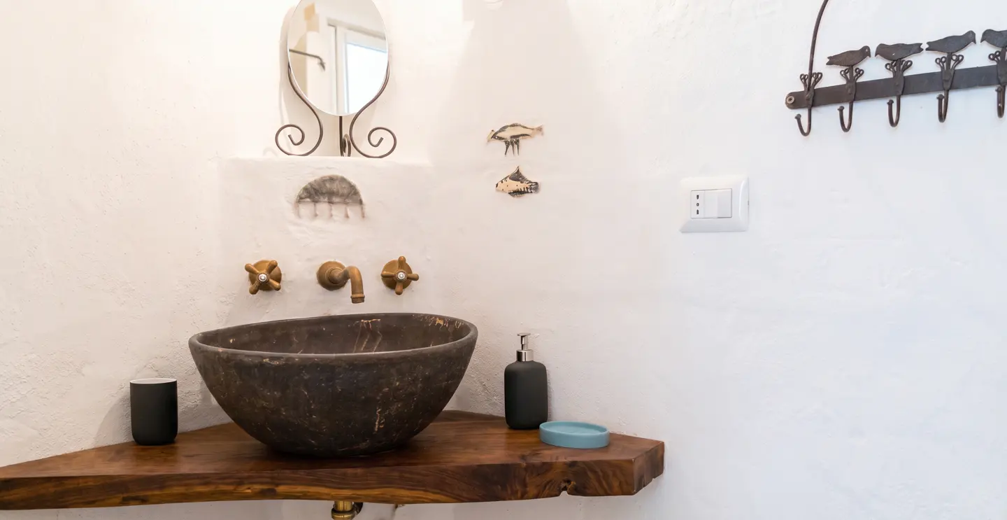 Bathroom with a dark stone sink on a wooden counter, brass faucet, and white walls. A mirror and bird-shaped hooks add charm.