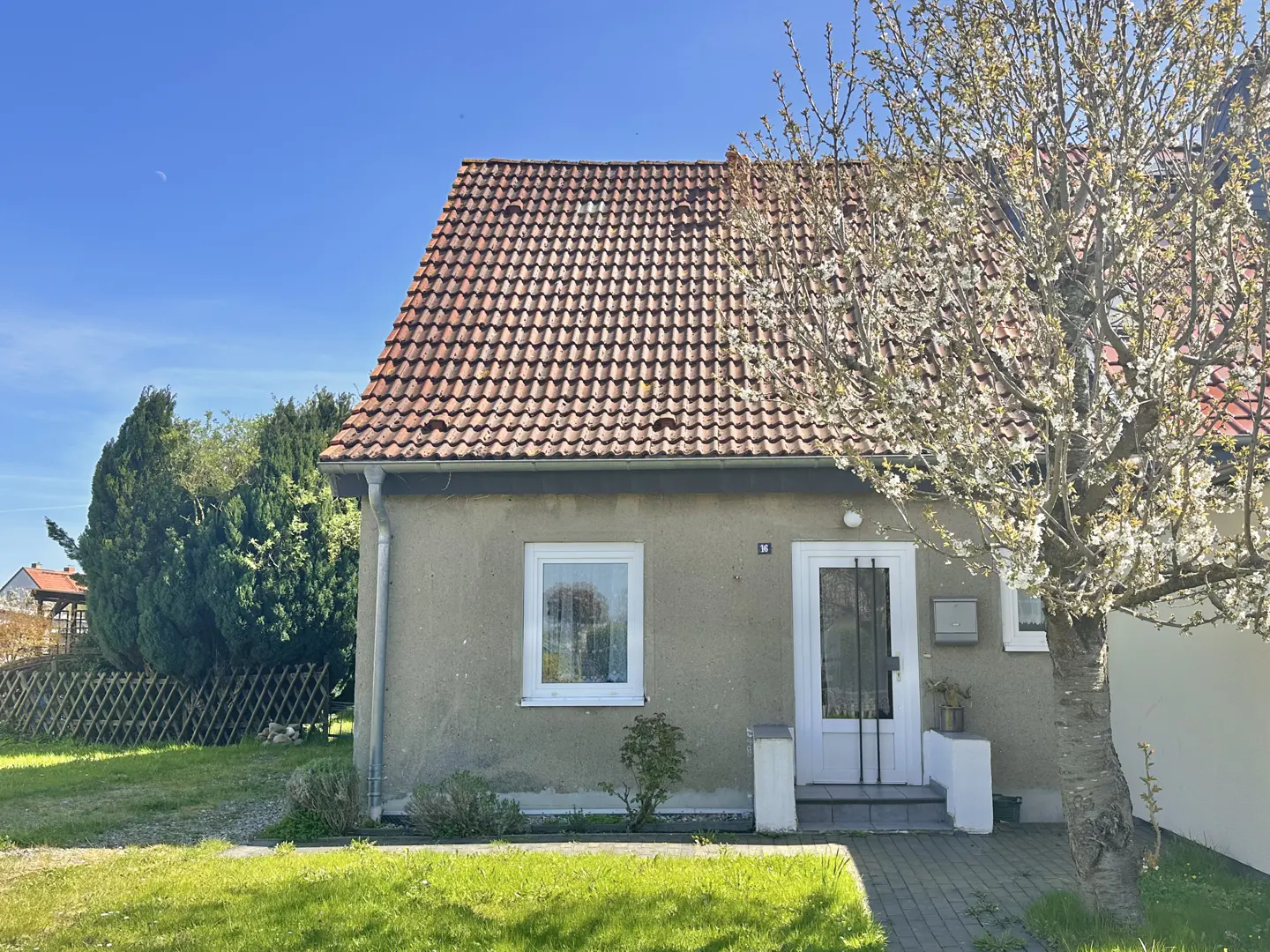 A one-story house with a red tile roof, a white door and window, and a tree with white blossoms in front.