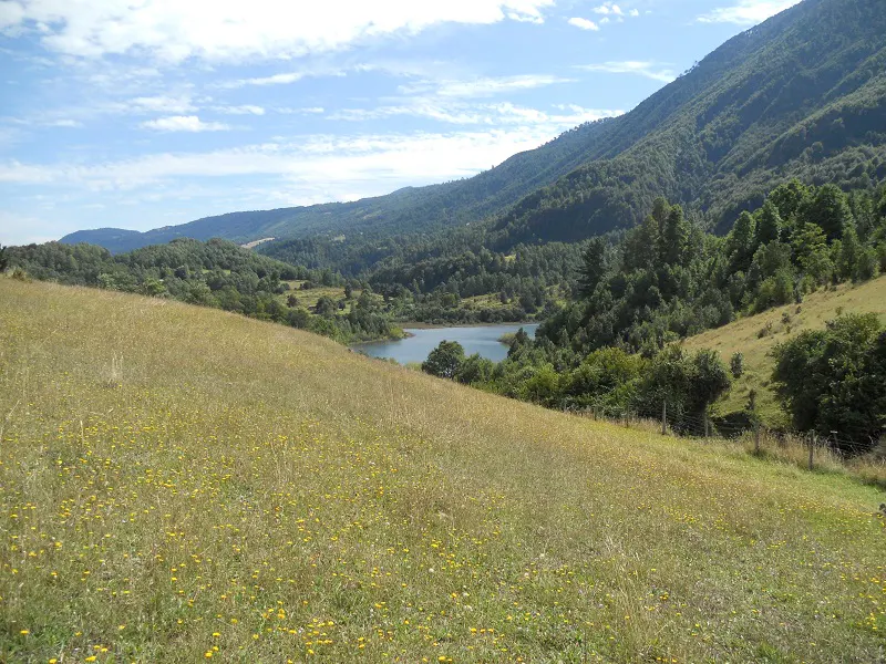 Scenic view of a grassy field with yellow flowers, a lake, and forested mountains under a blue sky.