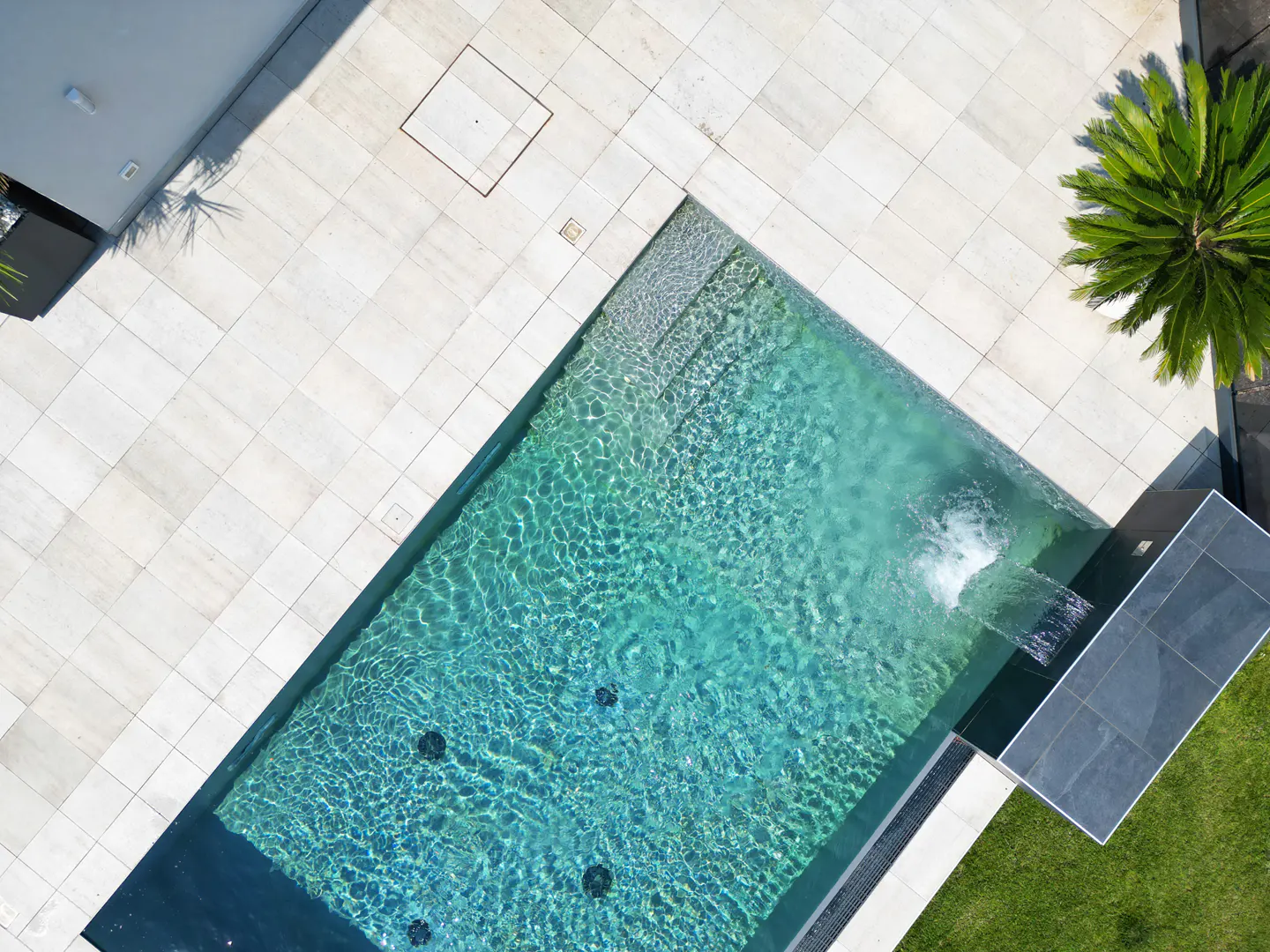 Aerial view of a turquoise swimming pool surrounded by white tiles, green grass, and a palm tree.
