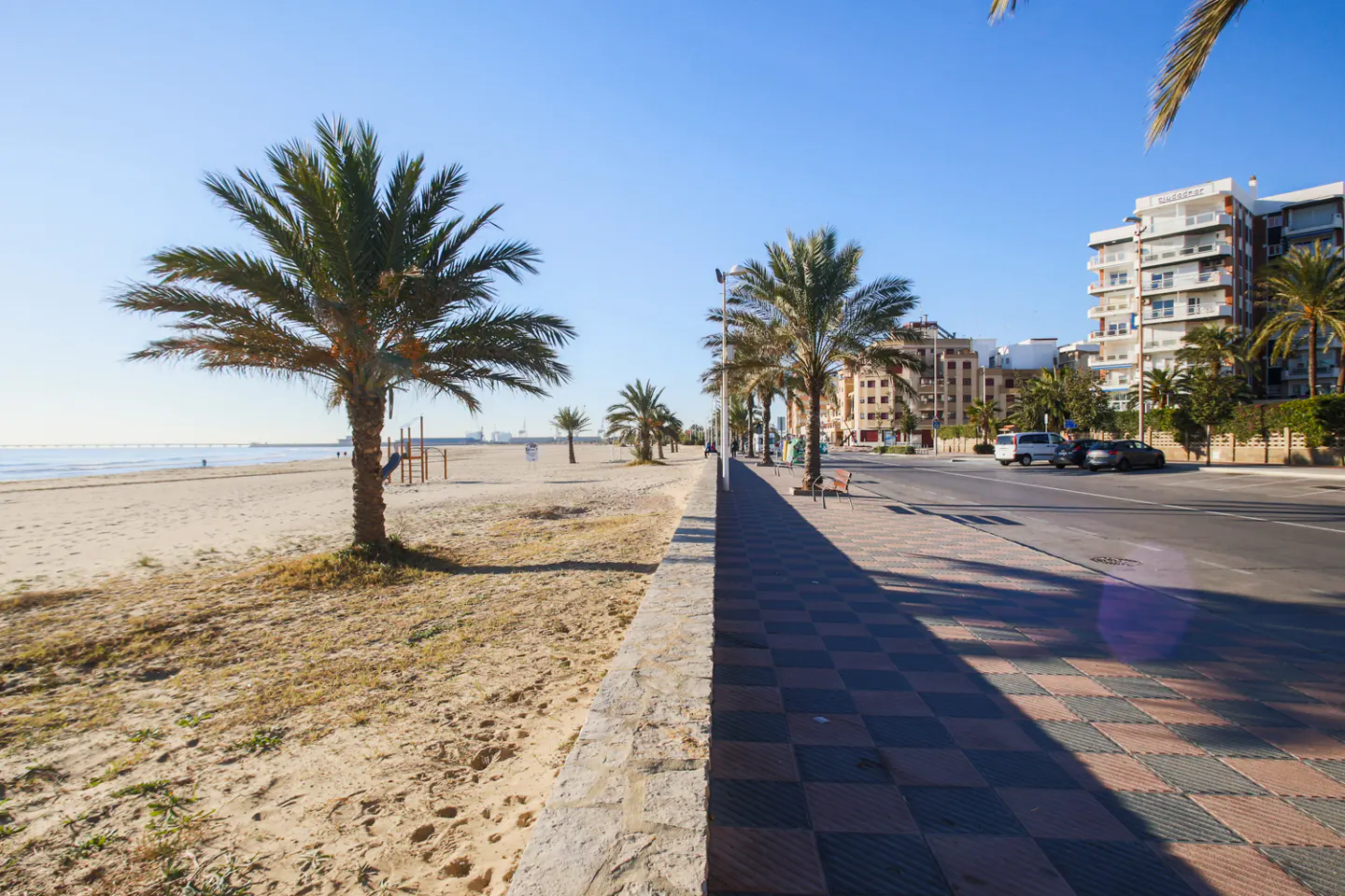 Beachfront view with palm trees, sand, and buildings under a clear blue sky. A tiled walkway separates the beach from the road.