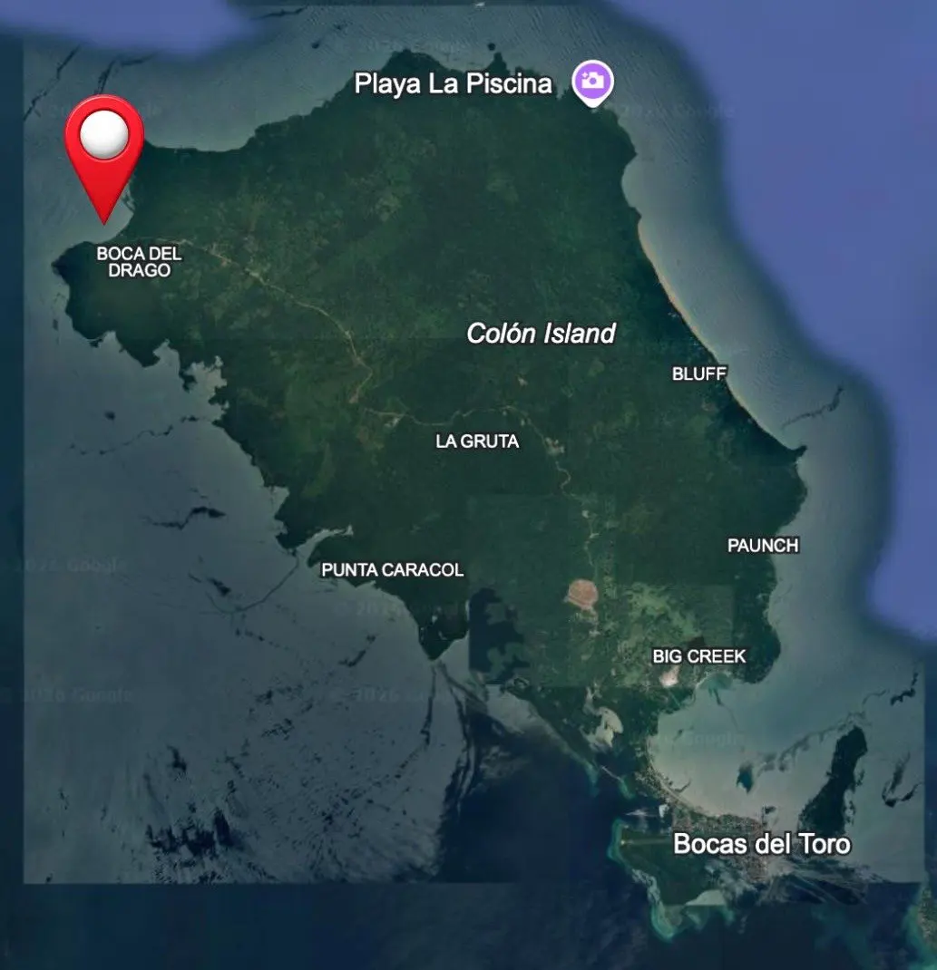 Aerial view of Colón Island, Panama, with Boca del Drago marked by a red pin on the island's northwest coast.