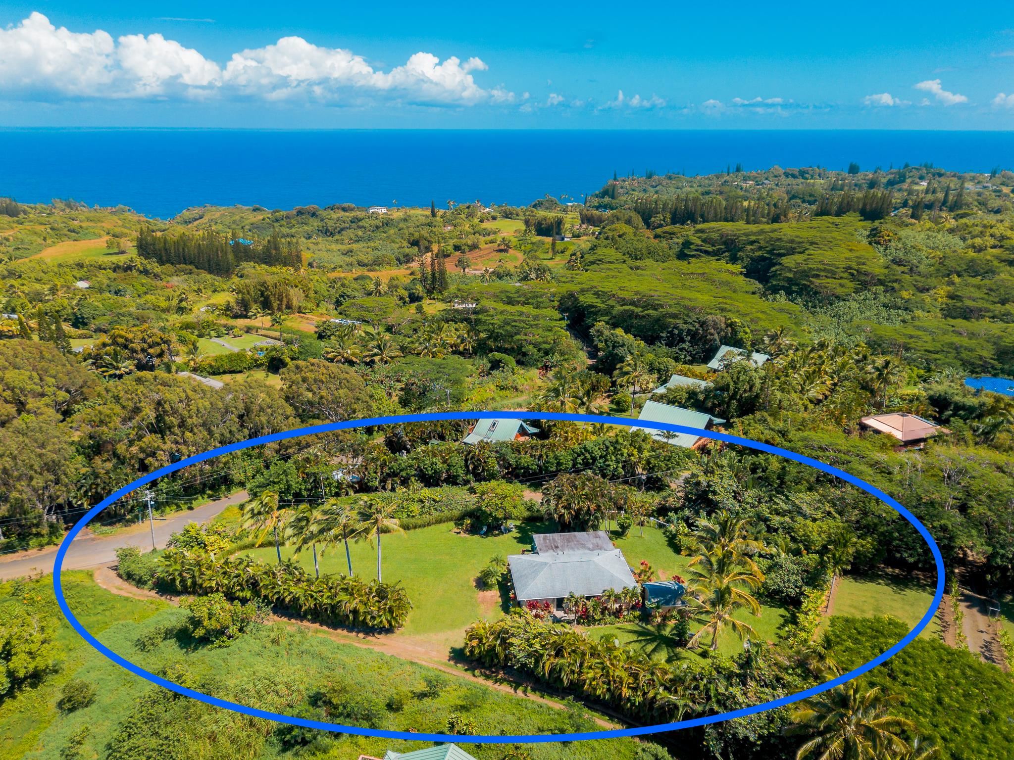 Tropical Haiku Retreat