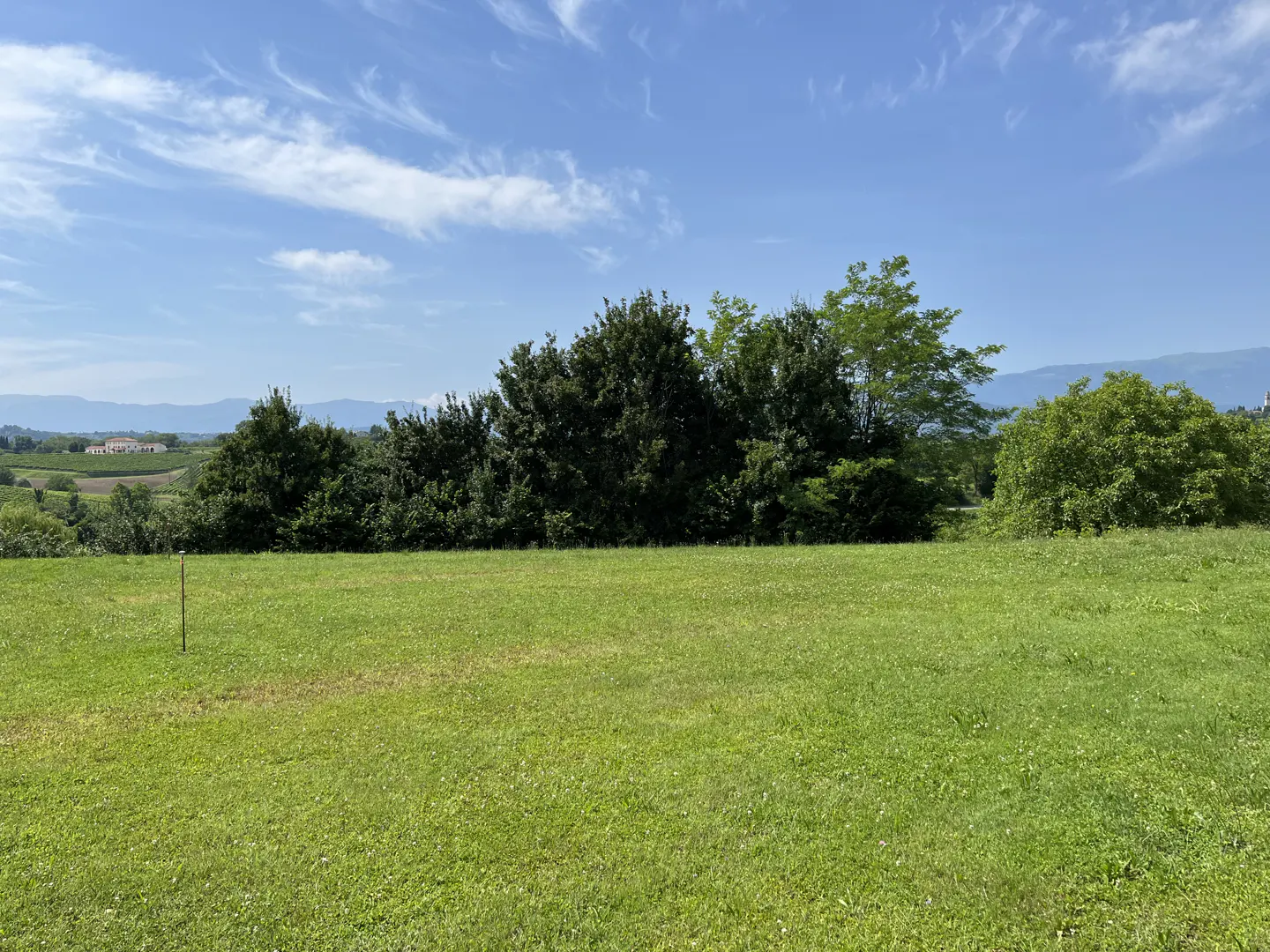 A green field with trees under a blue sky with clouds. Distant mountains and buildings are visible.