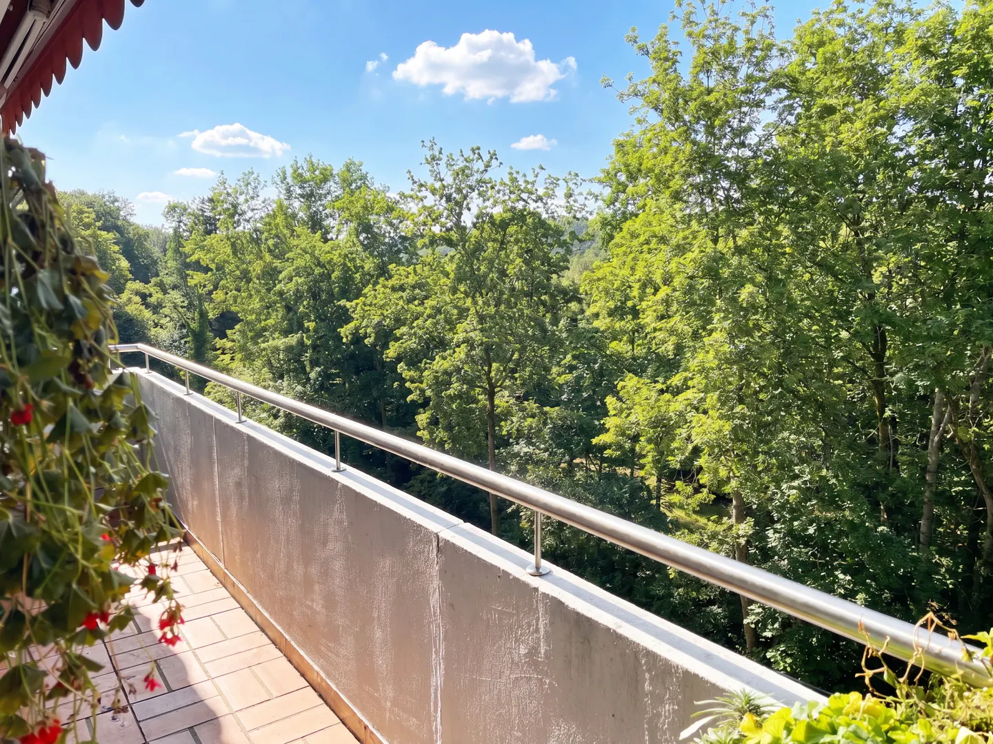 Balcony view with red flowers, metal railing, and a lush green forest under a blue sky with white clouds.