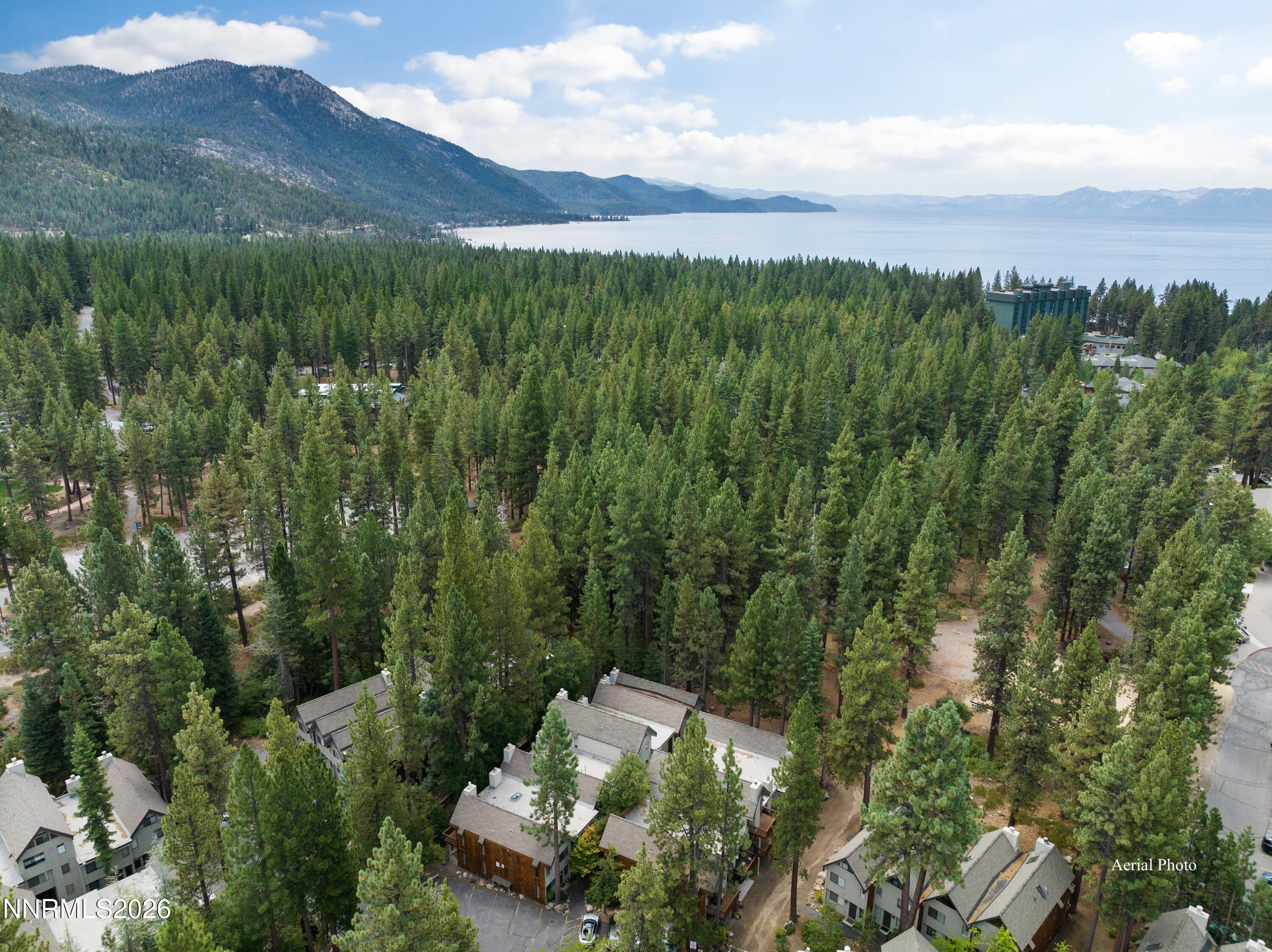 Creekside Serenity in the Heart of Tahoe