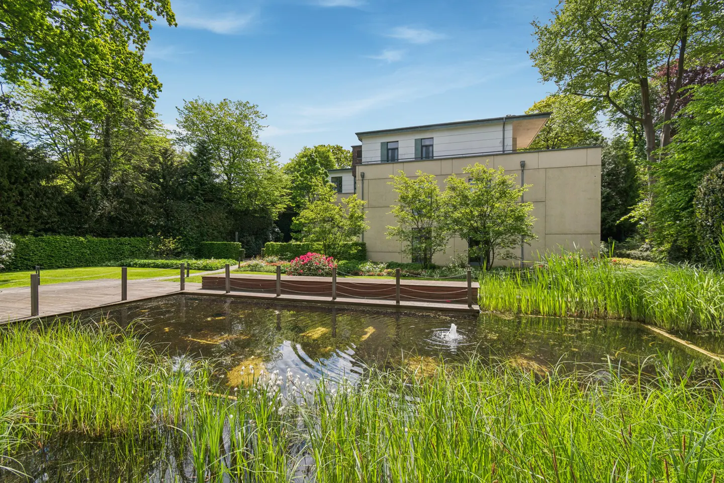 A serene pond with tall green grass in the foreground, a wooden bridge, and a modern building in the background.