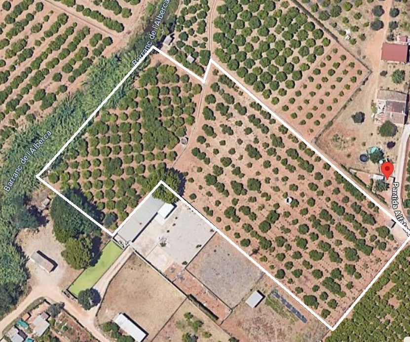 Rustic land in Ondara – 6,956 m² in a quiet setting