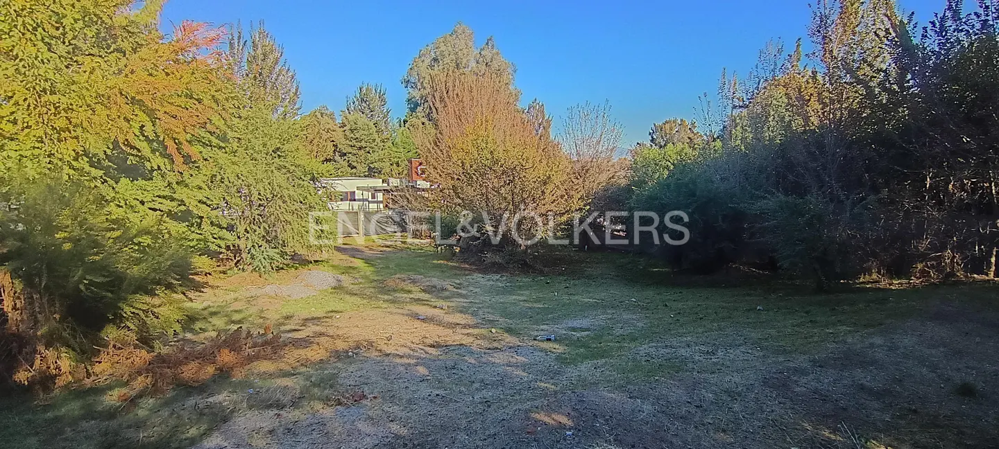 A vacant lot with trees and grass, with a house visible in the background. The sky is blue.