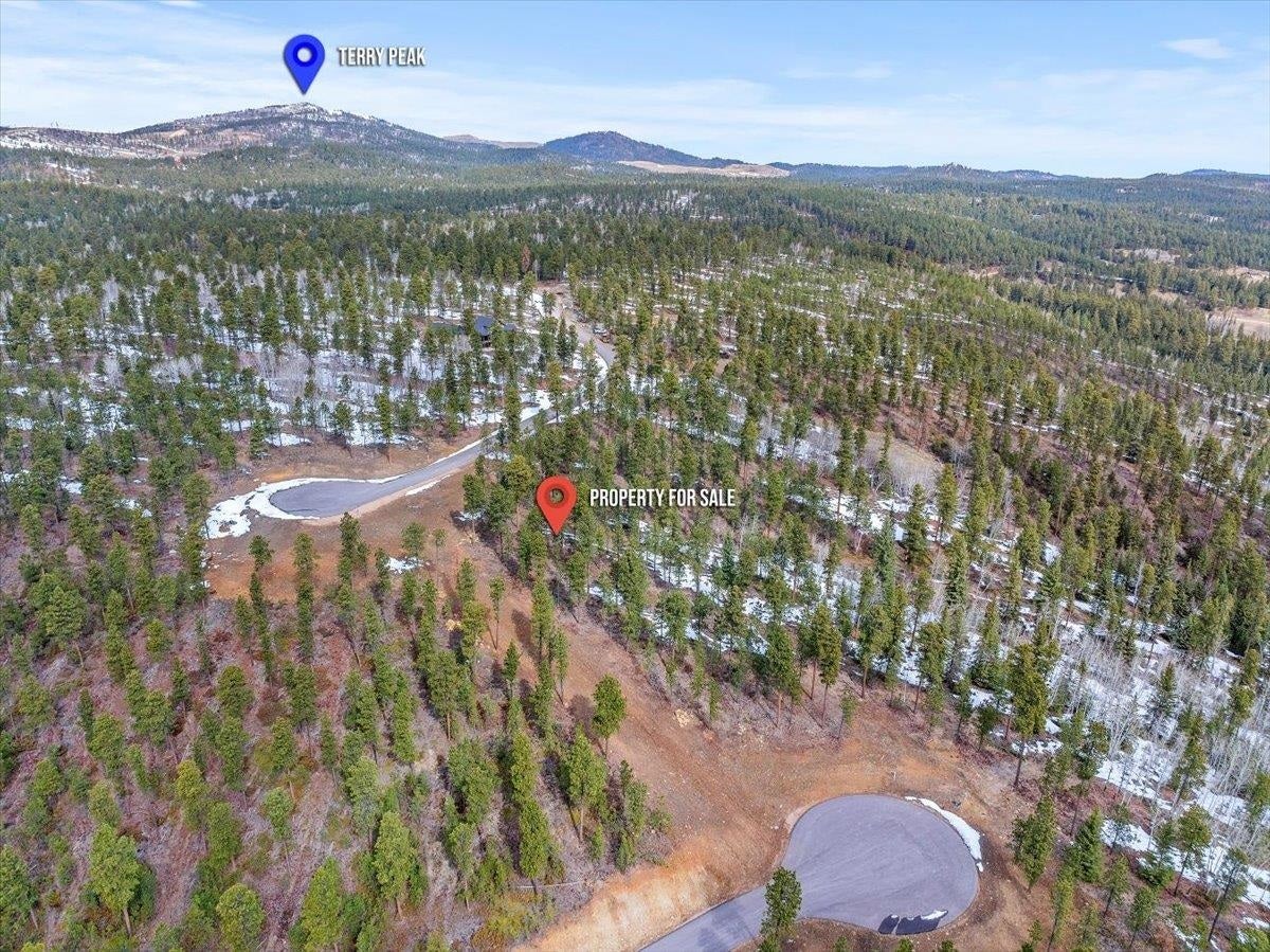 Land In The Black Hills