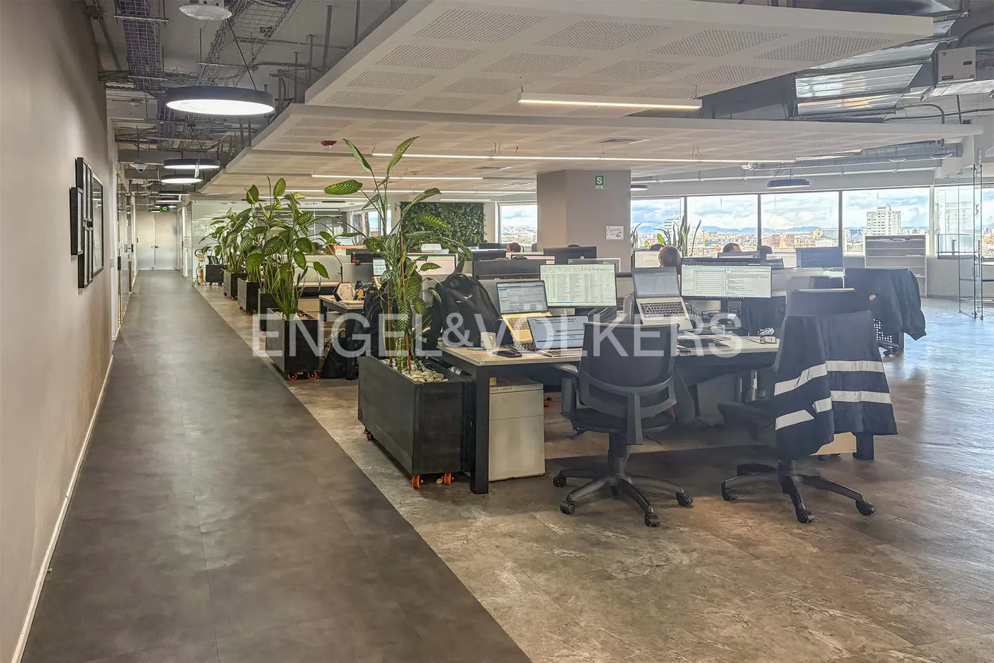 Open office space with desks, computers, chairs, and potted plants. Large windows offer a city view.