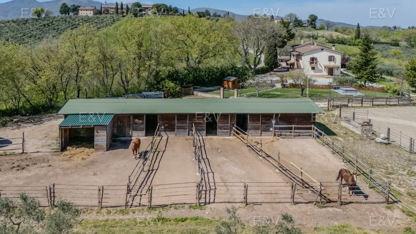 Equestrian property with a stable, paddocks, and two horses in a rural setting. Green hills and buildings in the background.