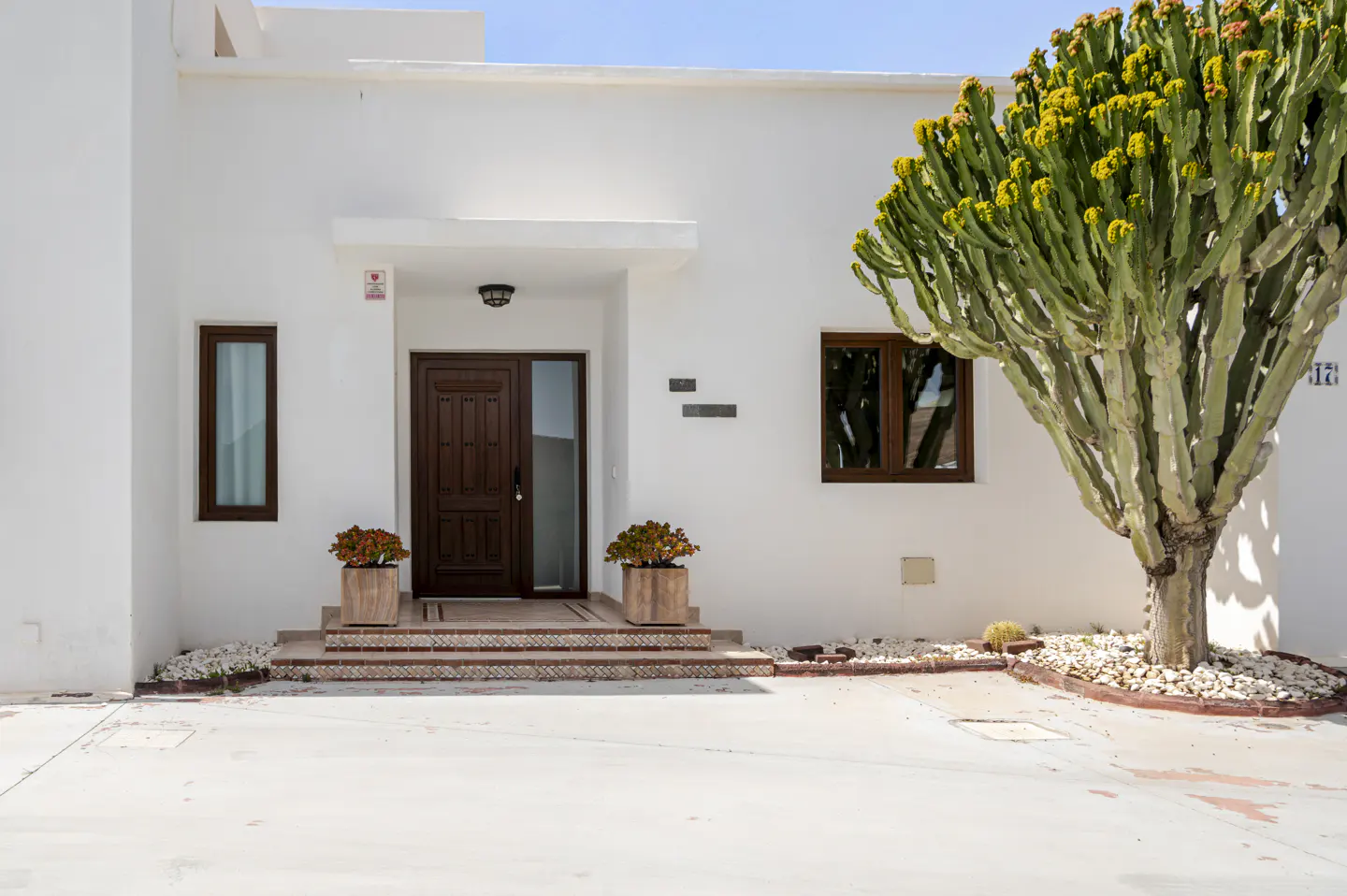 Exterior of a white house with a brown door, windows, and a large green cactus. Two potted plants flank the entrance.