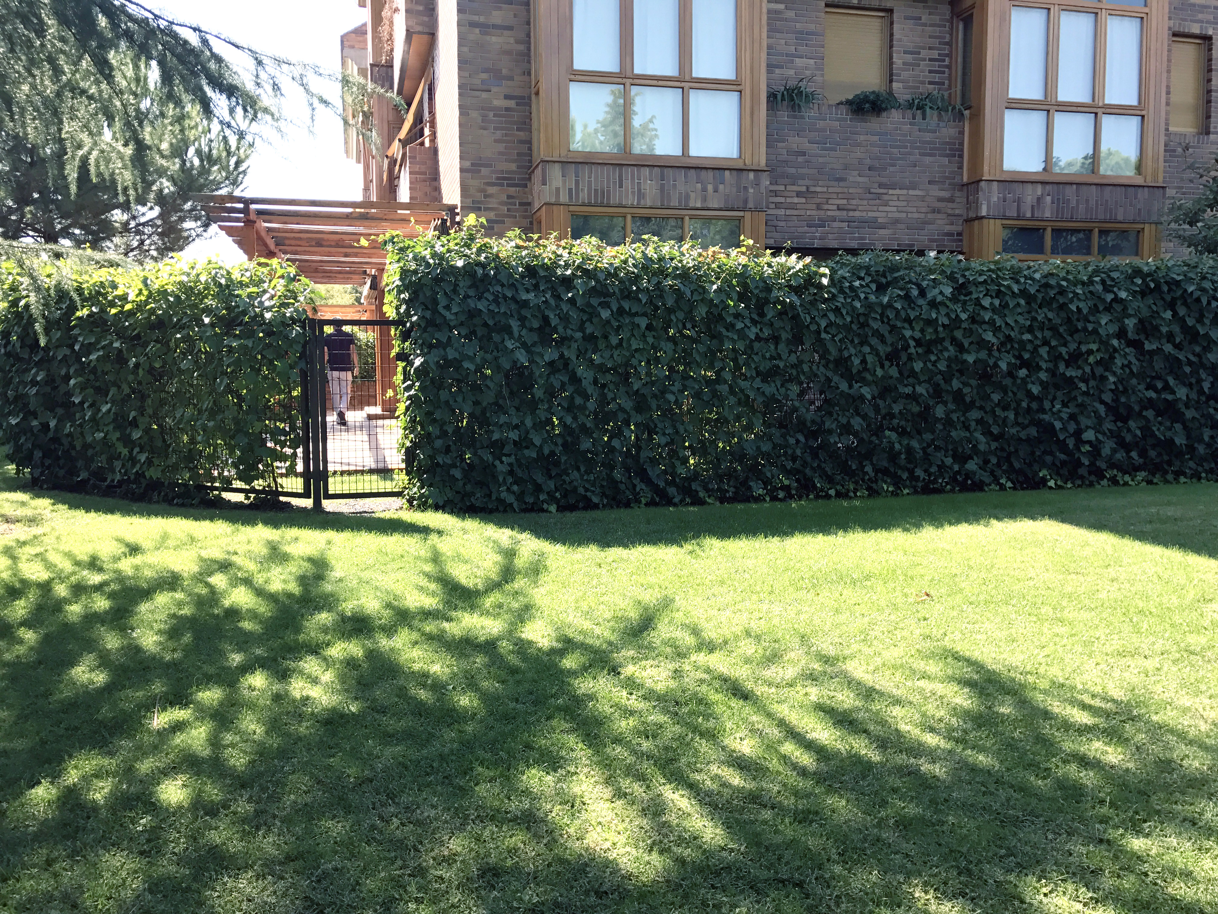 Ground floor with terrace and garden in Aravaca