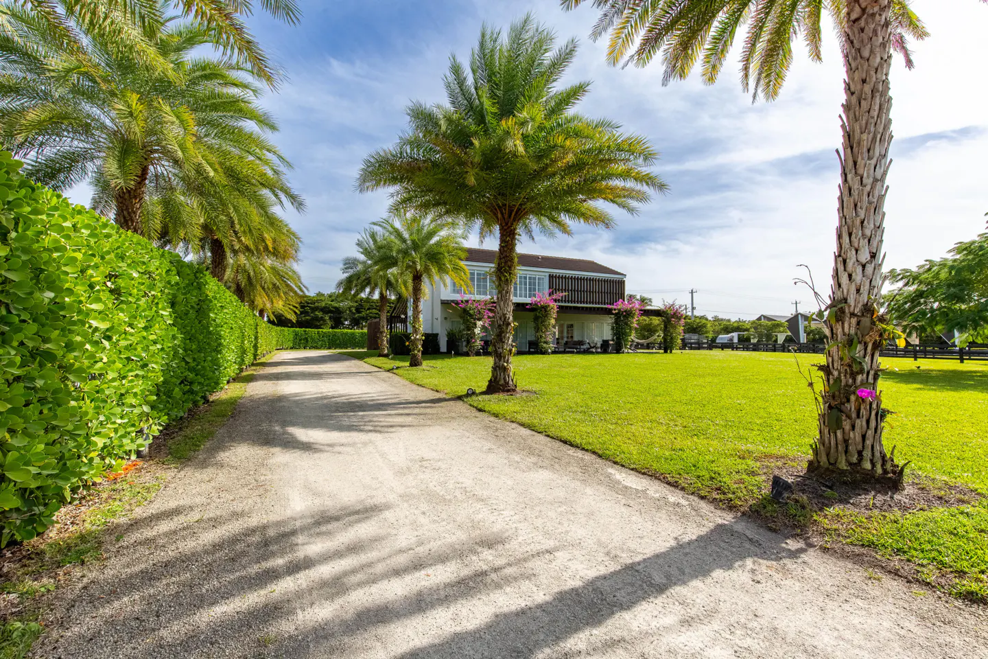 Long driveway leading to a white house with palm trees and green lawn on a sunny day.