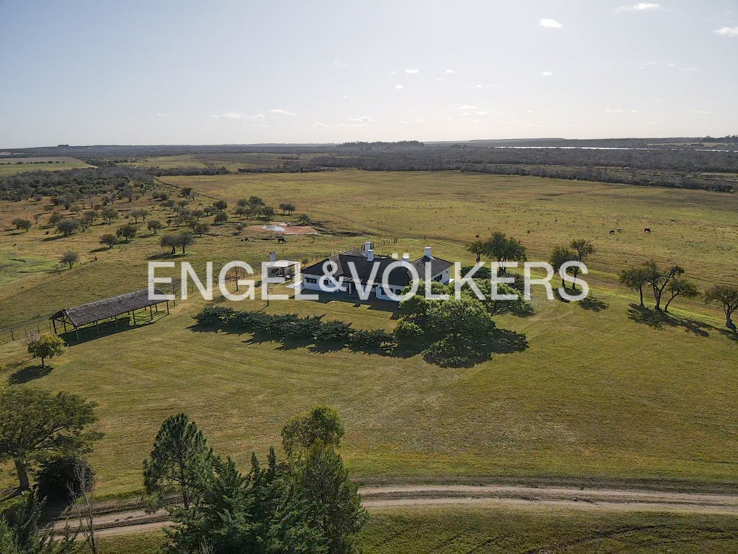 Ranch/farm of 556 hectares