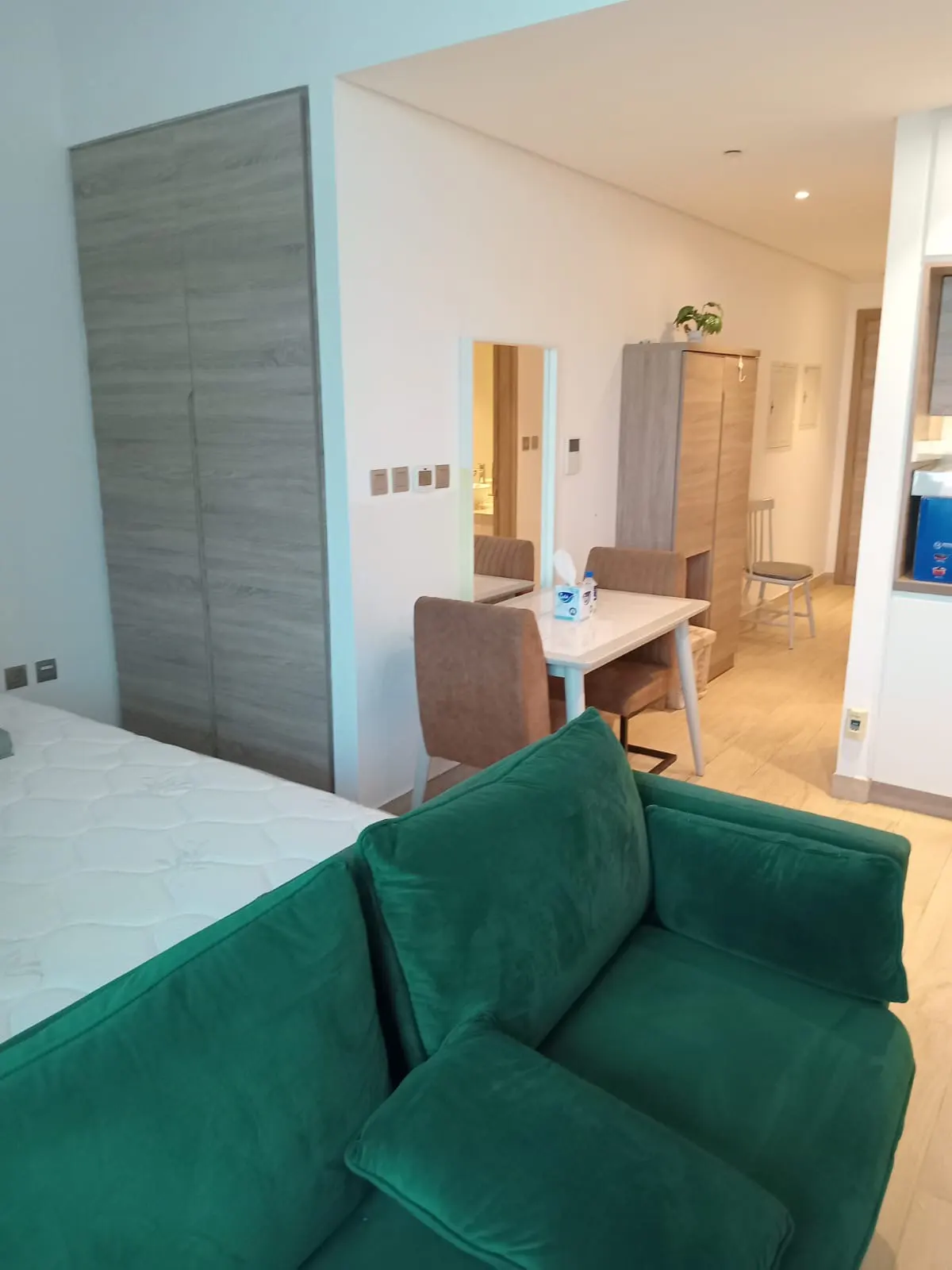 A bright studio apartment featuring a green sofa, bed, dining table with chairs, and a wardrobe.