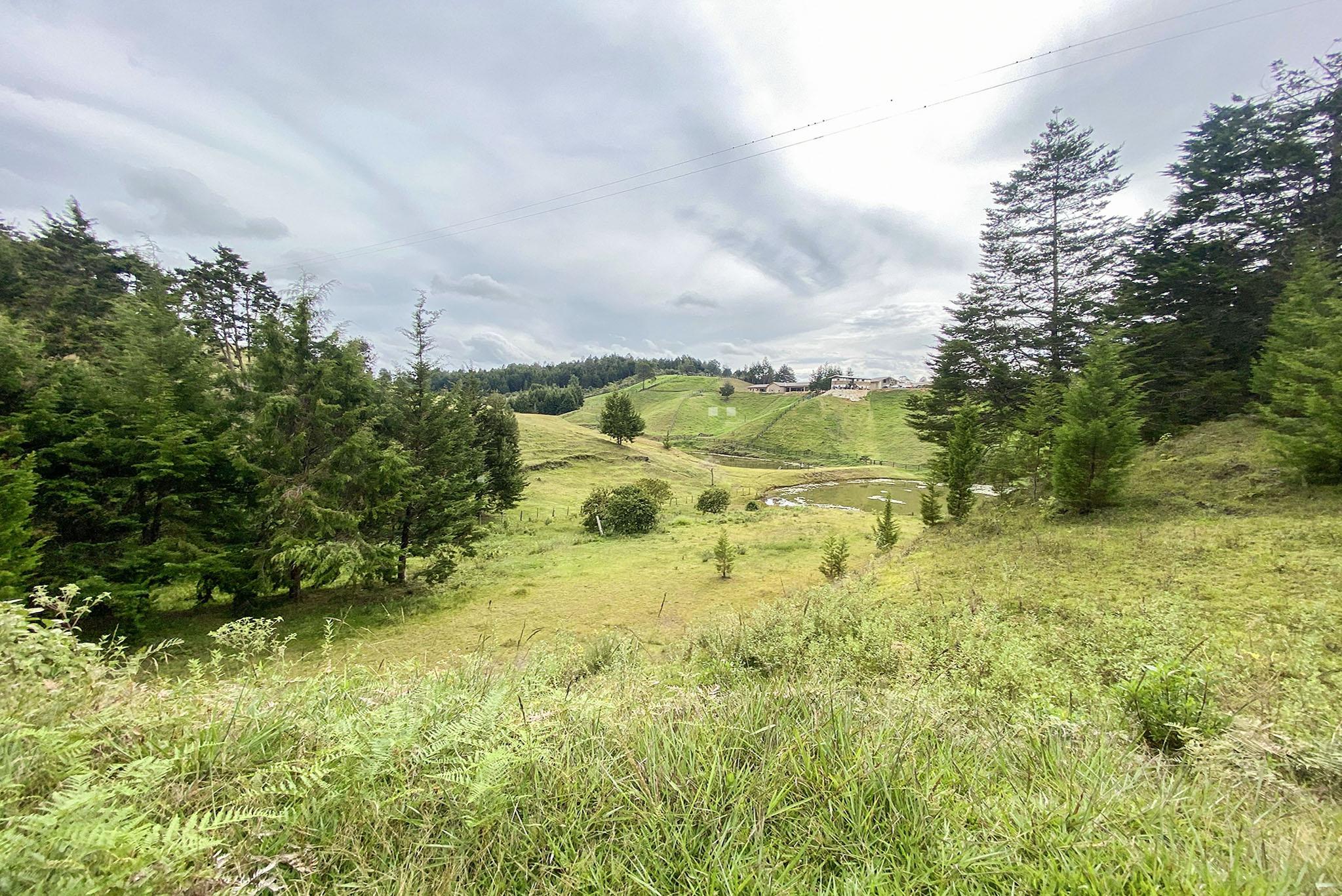 Lote con lago para venta en Rionegro
