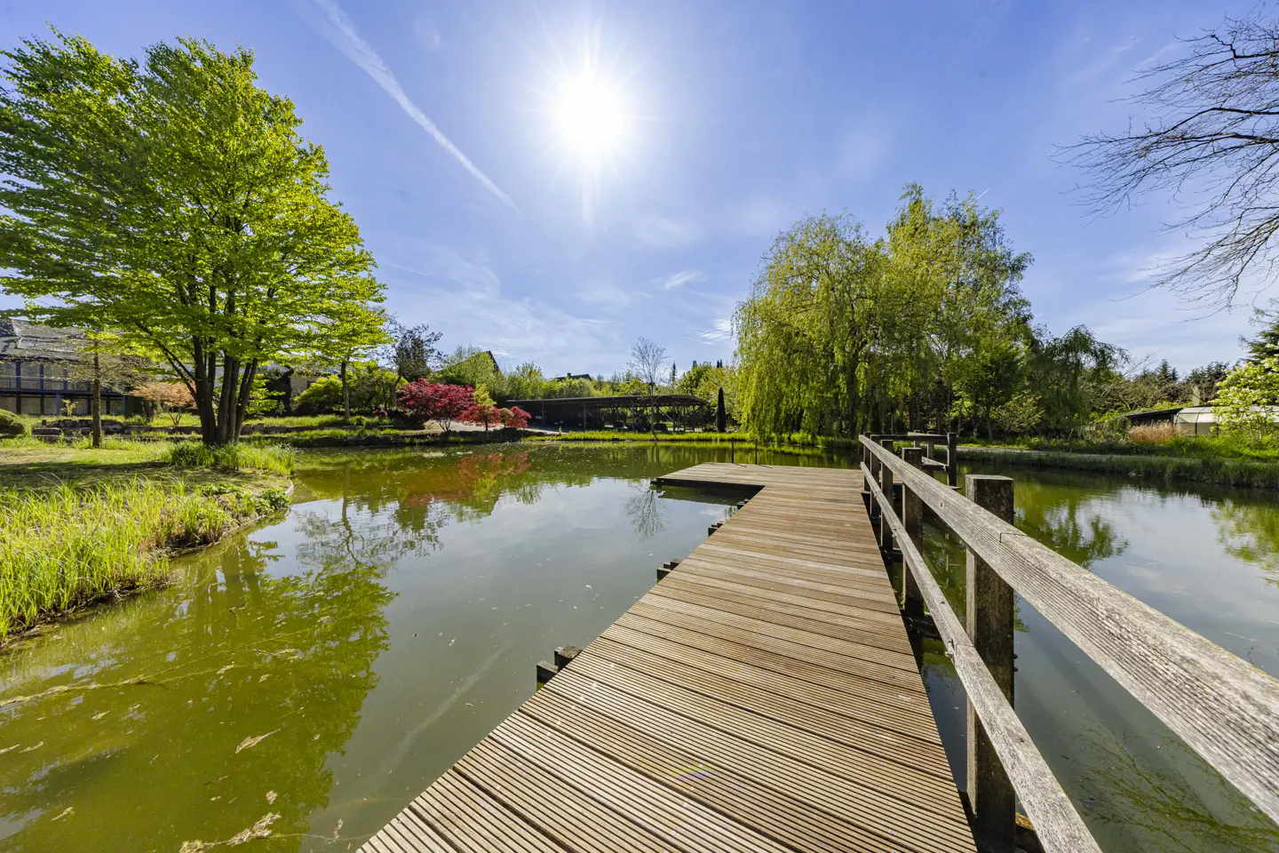 Wooden dock extends into a pond, reflecting trees and sky. Sunlight shines above, creating a bright, serene outdoor scene.
