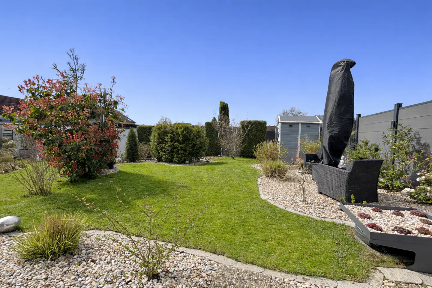 A well-maintained backyard with green grass, trimmed hedges, and a covered patio set under a clear blue sky.