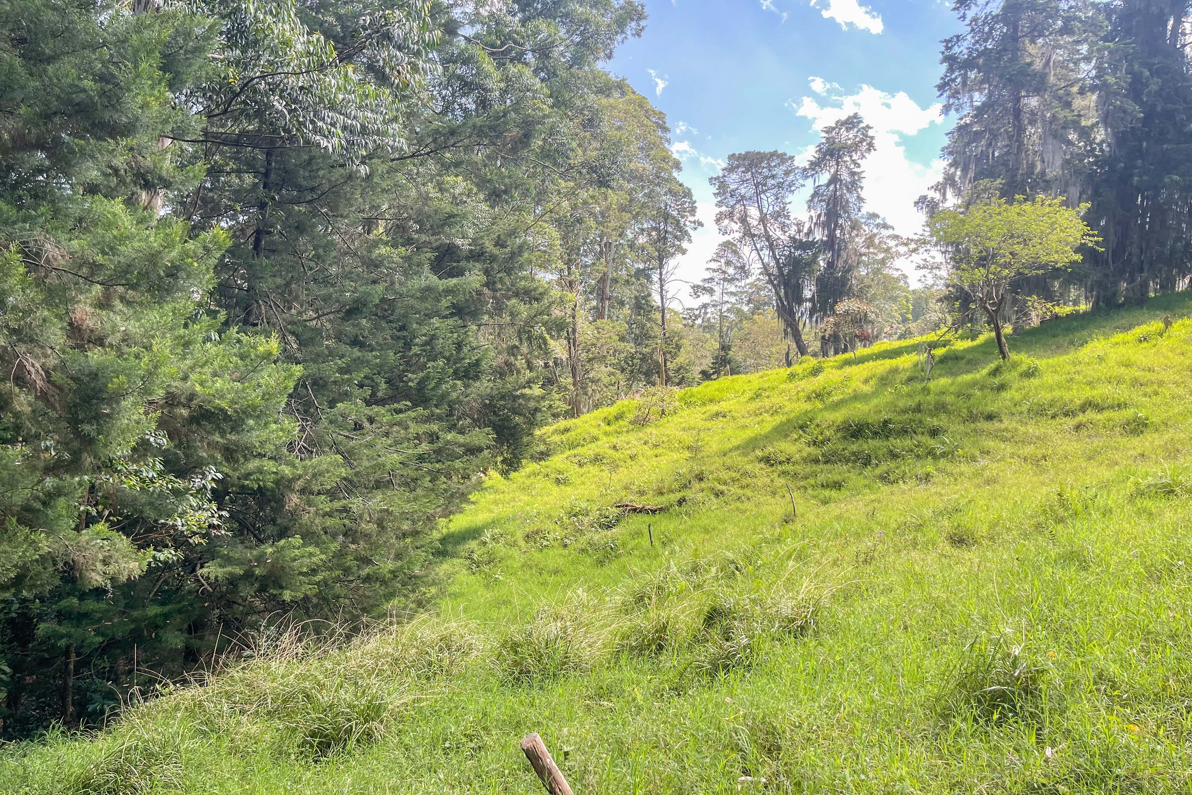 Amplio lote para venta en San Lucas, El Poblado