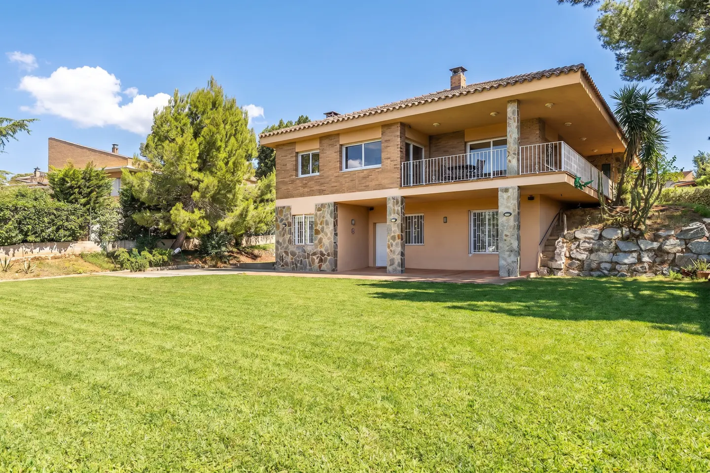 [AI-generated photo]