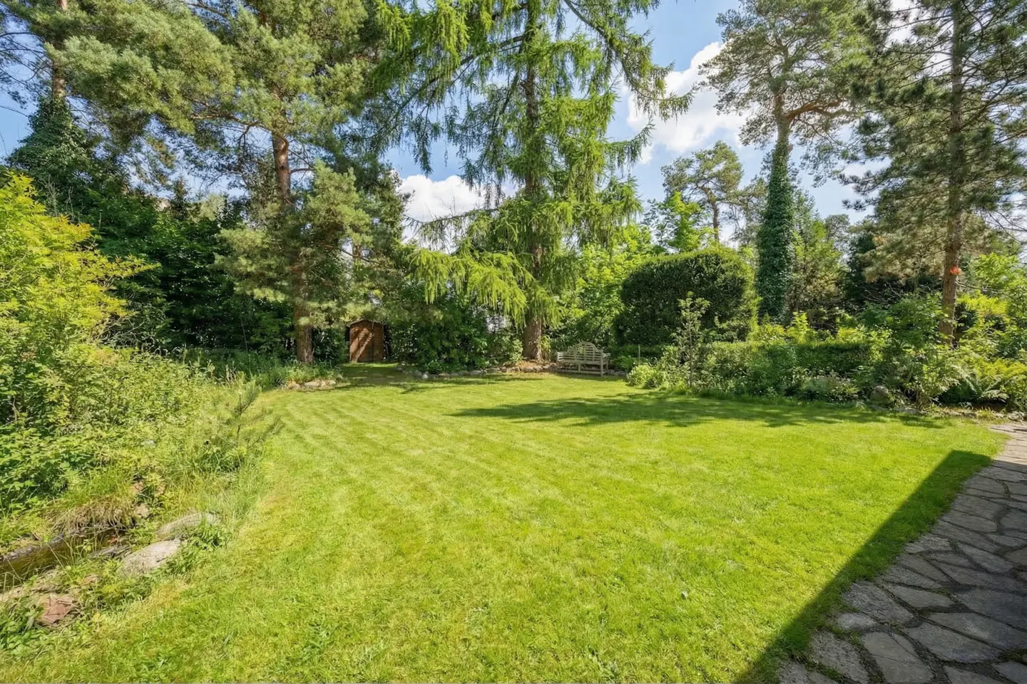 A lush green lawn surrounded by trees and shrubs, with a wooden bench and shed in the background.