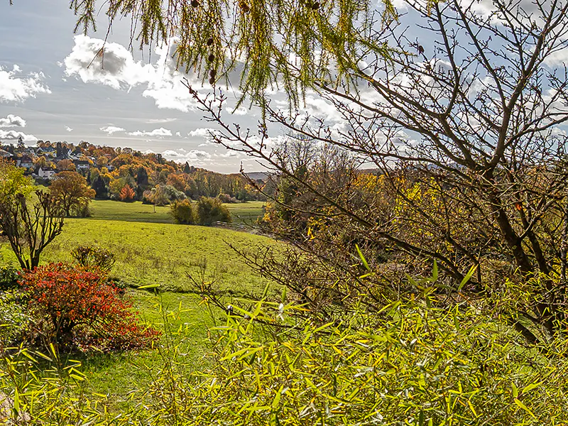 Scenic view of a green field with trees in autumn colors and a village on a hill in the background.