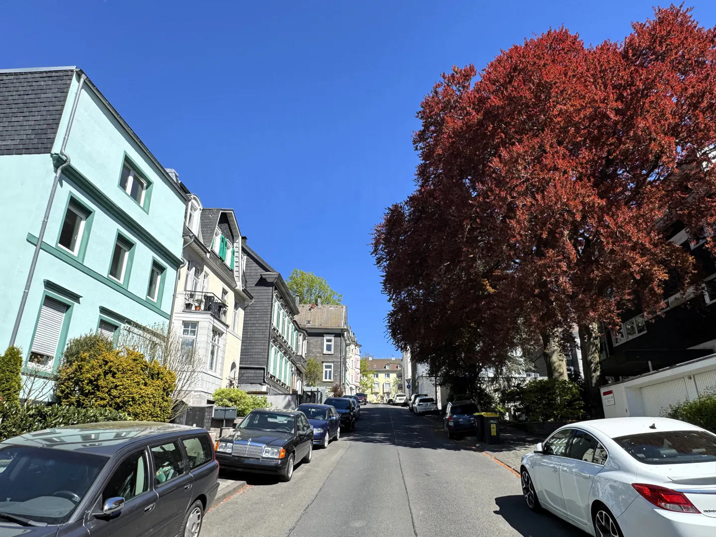 Street view of colorful houses and parked cars under a clear blue sky, with a large red-leaved tree on the right.