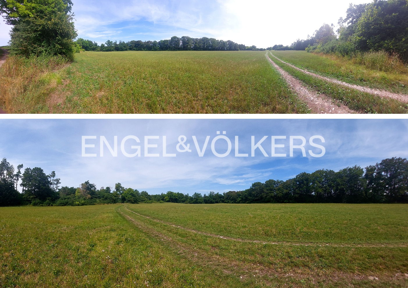 Wiese mit kleinem Baumbestand zwischen Seestall und Dornstetten