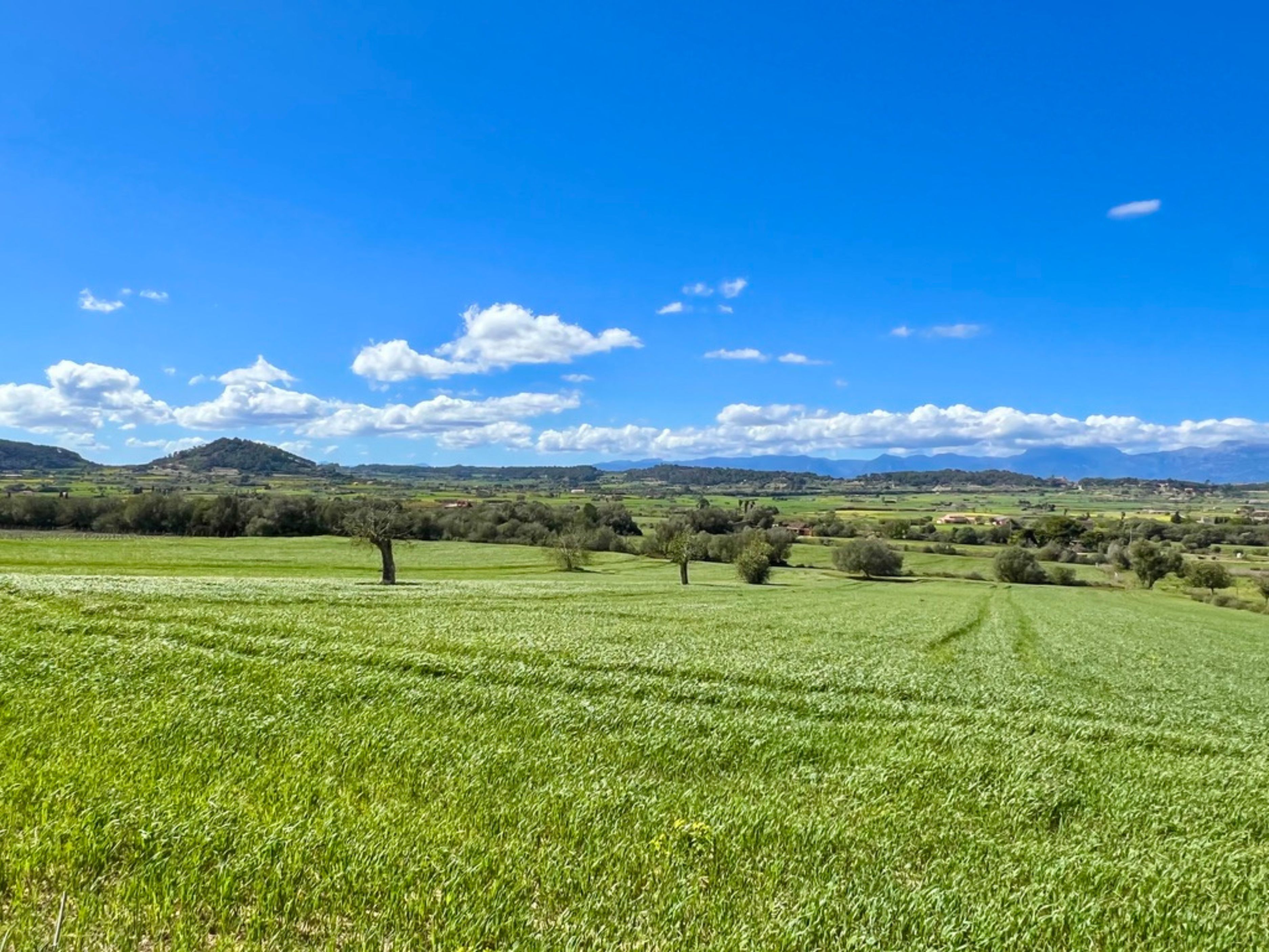 Charming land with views and project in Sant Joan