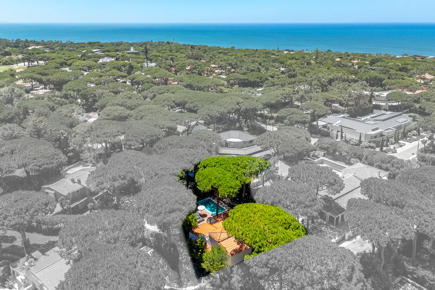 Aerial view of a house with a pool and orange roof, highlighted in color amidst a grayscale forest near the ocean.