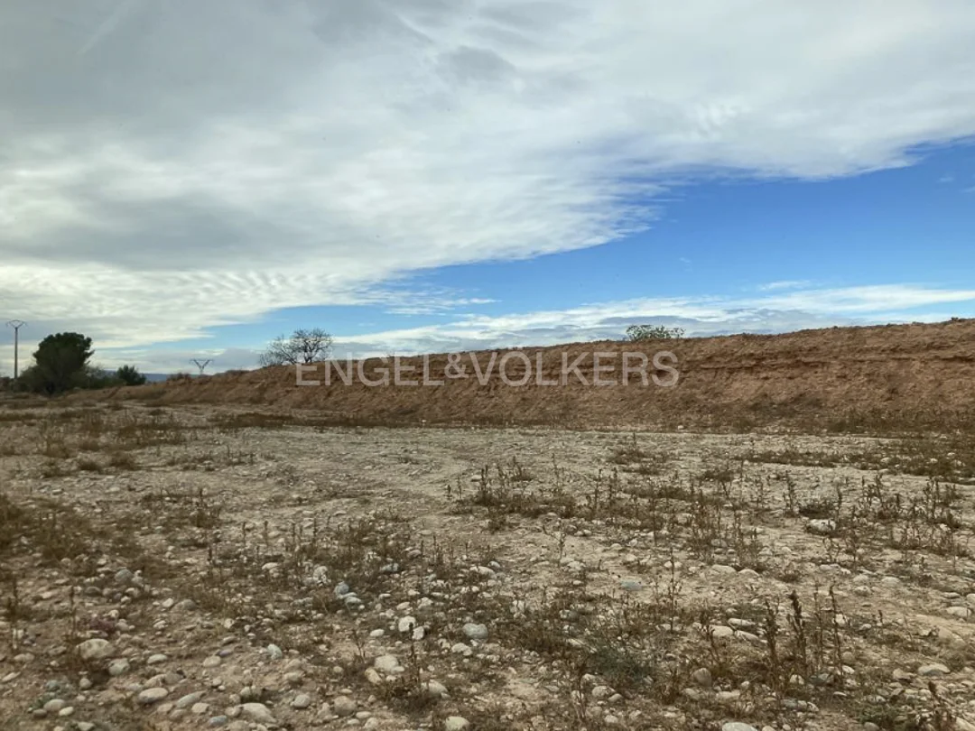 20 hectares of agricultural land next to the river