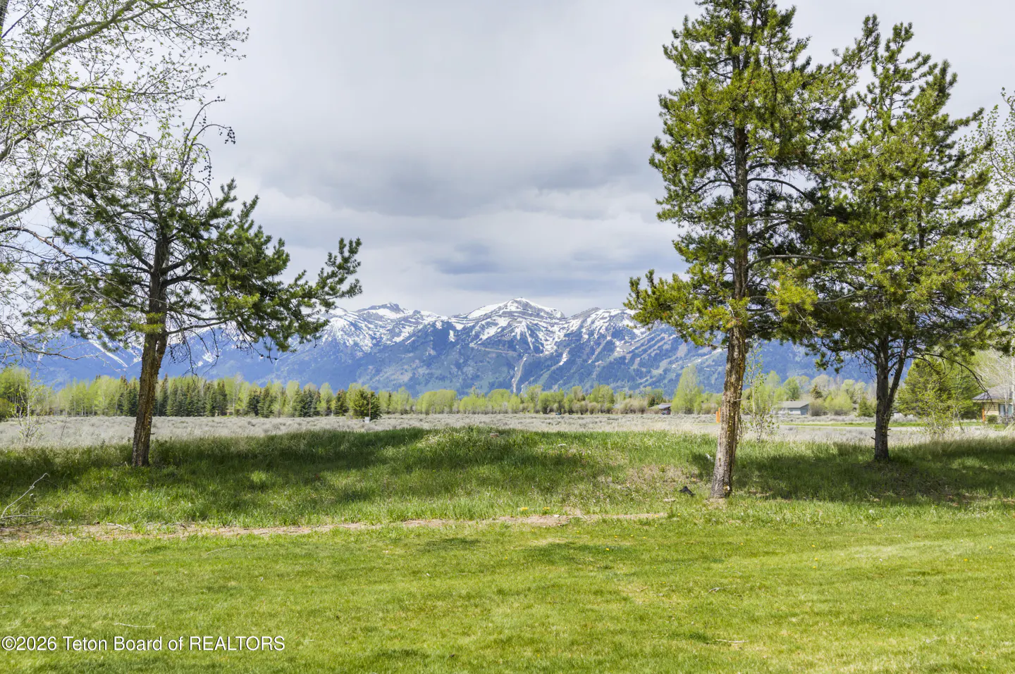 Scenic view of snow-capped mountains behind a green field with trees under a cloudy sky.