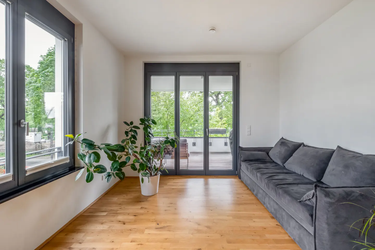 Bright living room with wood floors, a gray sofa, and a potted plant near a large window and glass doors to a balcony.