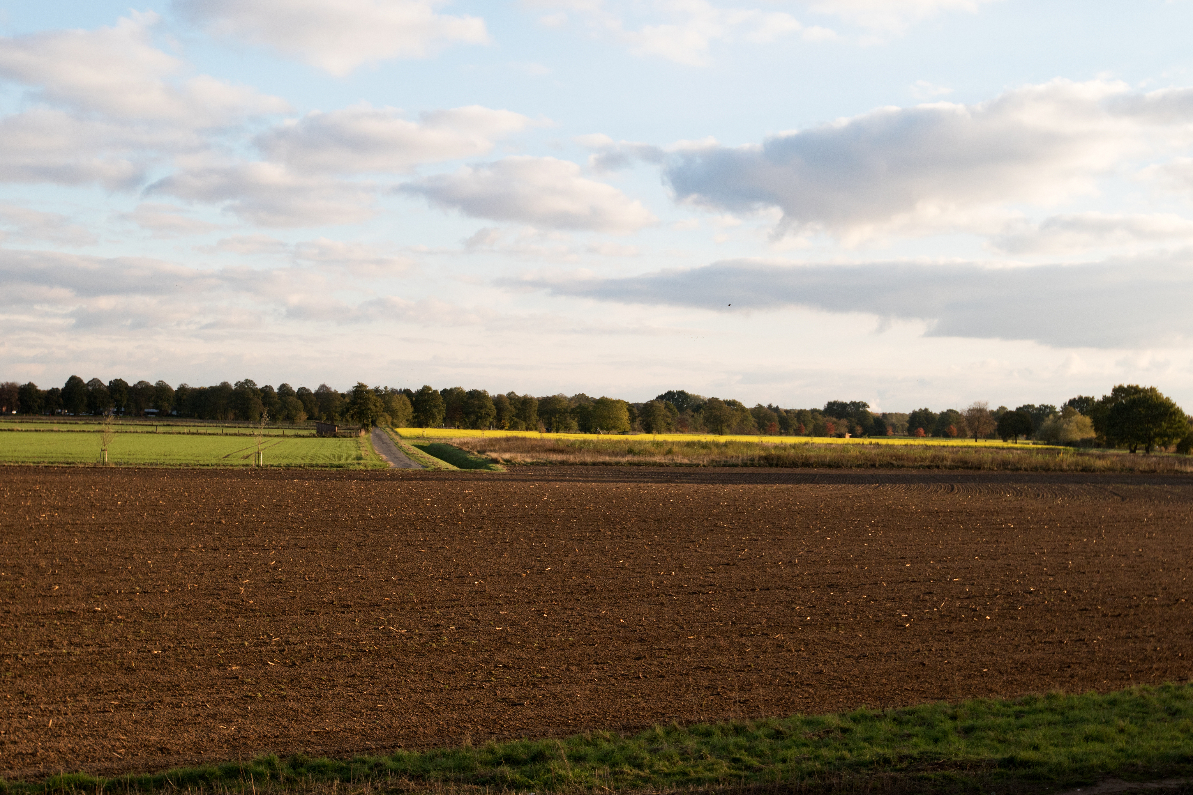 Landwirtschaftliche Flächen in Frankreich