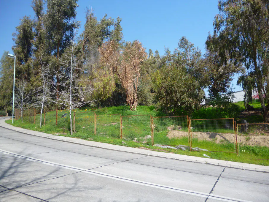A grassy hill with trees is bordered by a rusty fence and a gray road under a blue sky.