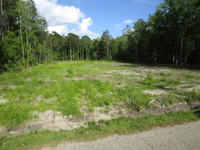 Cleared lot with green grass and trees under a blue, partly cloudy sky. A paved road is in the foreground.