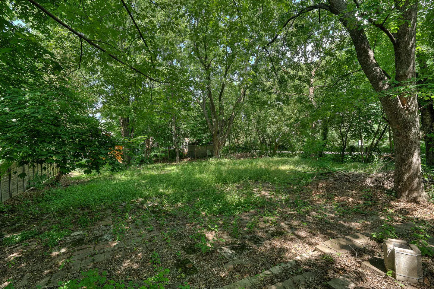 Overgrown backyard with brick patio, surrounded by lush green trees and foliage.