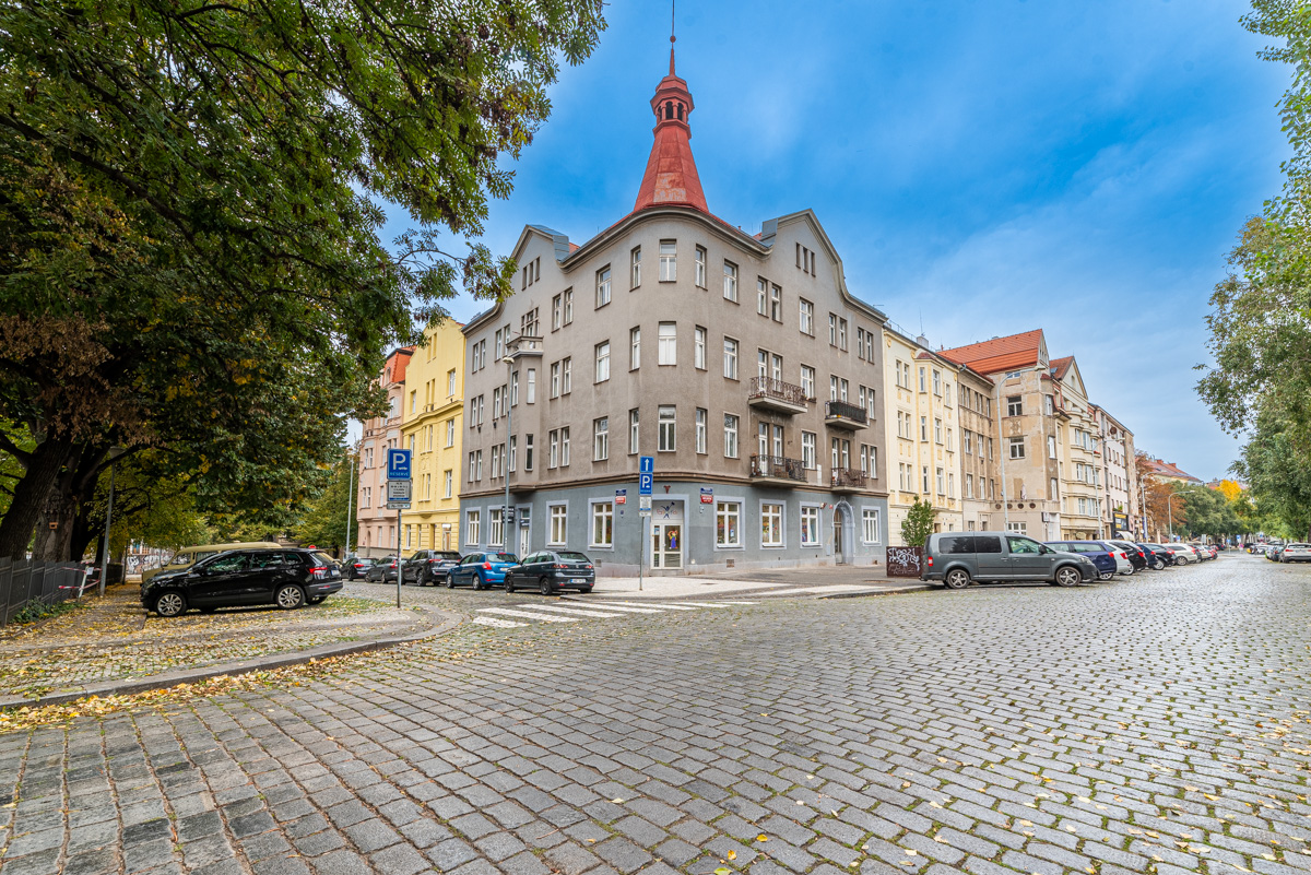 Lease of commercial space intended for nurseries in Dejvice